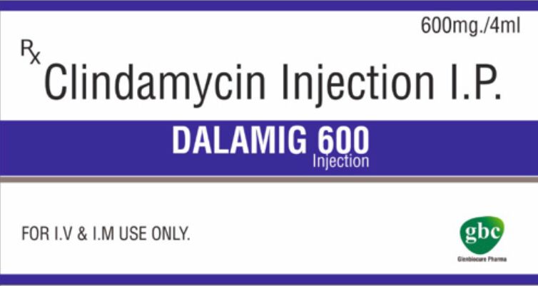 Dalamig 600 Injection